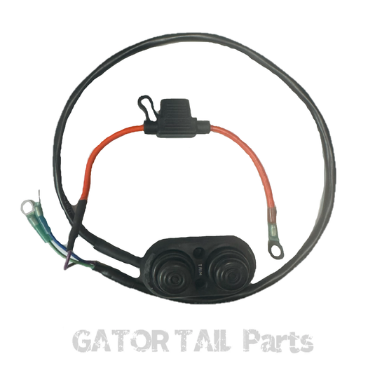 Transom Trim Control Switch Kit